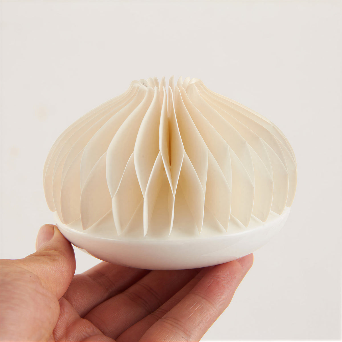 Paper shape and absorbency review – close-up of honeycomb paper diffuser structure