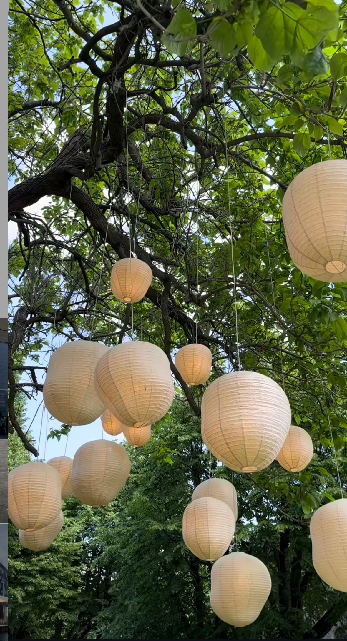 Rice paper lanterns displayed outdoors for market-specific review